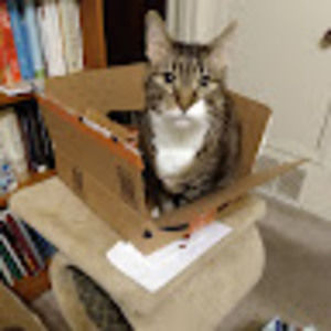 Meet your Posher, Amy